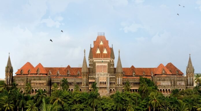 Bombay High Court से Dawood Ibrahim के करीबी को जमानत, Court ने कहा: ट्रायल से पहले लंबे समय तक जेल में रखना उचित नहीं